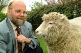 Cientista responsável por clonar ovelha Dolly morre aos 79 anos