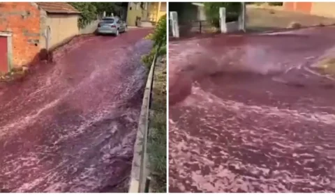 VÍDEO: enxurrada de vinho atinge cidade de Portugal após depósitos romperem
