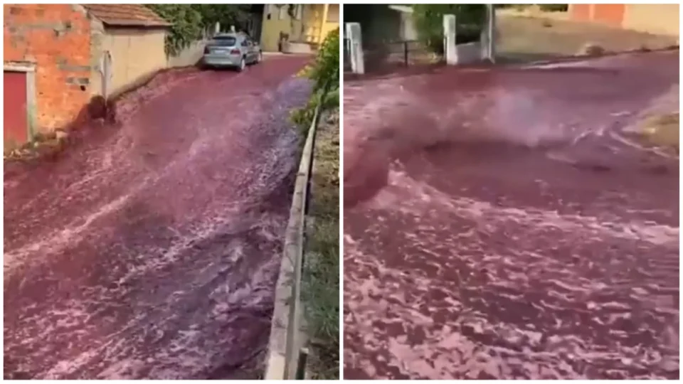 VÍDEO: enxurrada de vinho atinge cidade de Portugal após depósitos romperem