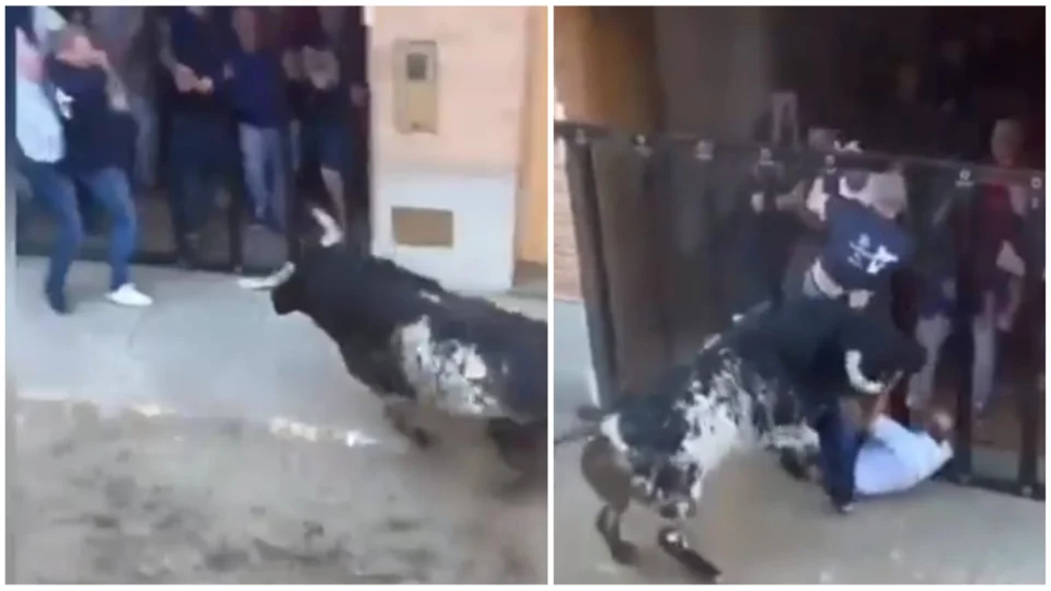 VÍDEO: empreendedor morre perfurado por chifre em tourada na Espanha