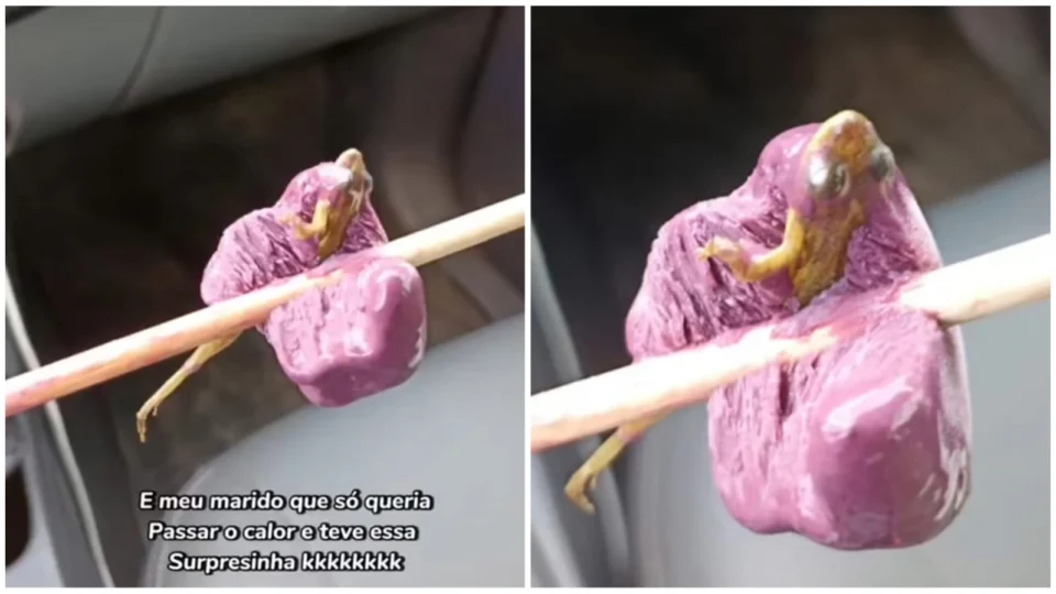 VÍDEO: casal encontra rã em picolé de açaí no interior do Amazonas