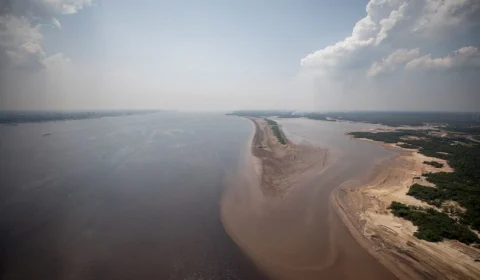 Estado e Governo Federal vão mapear fauna nos rios do AM