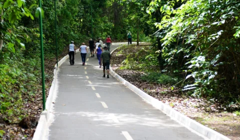 Parte da pista do Parque Cesamar é interditada para obras em Tocantins
