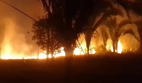 VÍDEO: incêndio invade zona rural de Manaquiri-AM