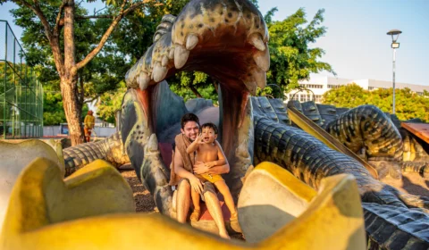 Dia das Crianças: cinemas e shoppings de RR fazem programação especial