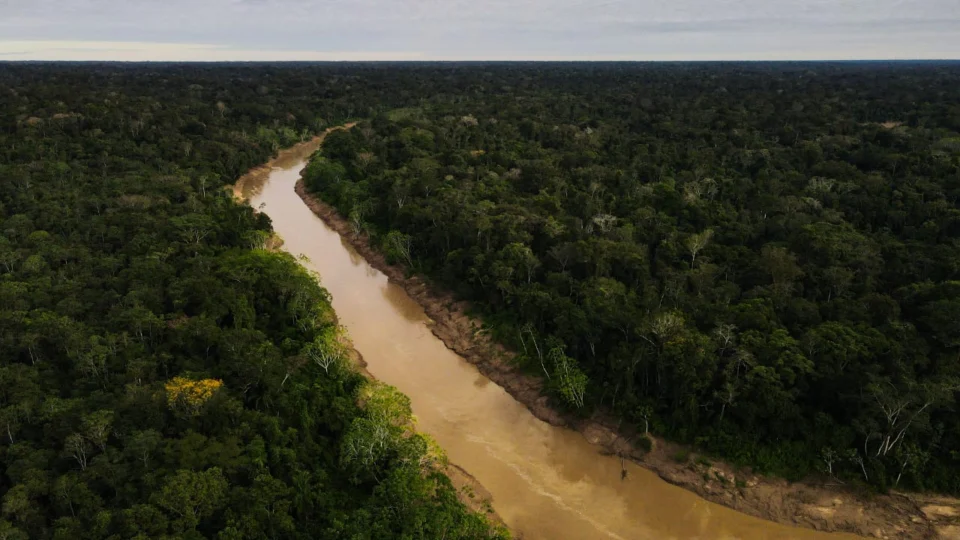 Acre reduz desmatamento em 59% em um ano, segundo Imazon