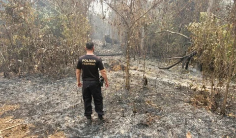 Dois homens são presos em flagrante por queimada ilegal em Manaus