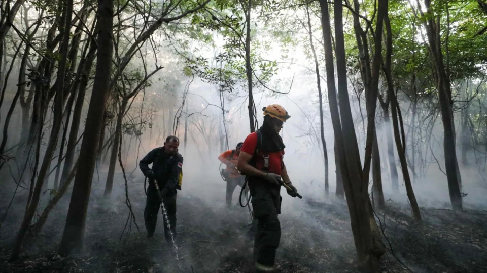 Ibama quer ajuda do Fundo Amazônia para combater queimadas