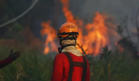 Em 4 dias marcados por fumaça em cidades do AM, focos de calor são 611