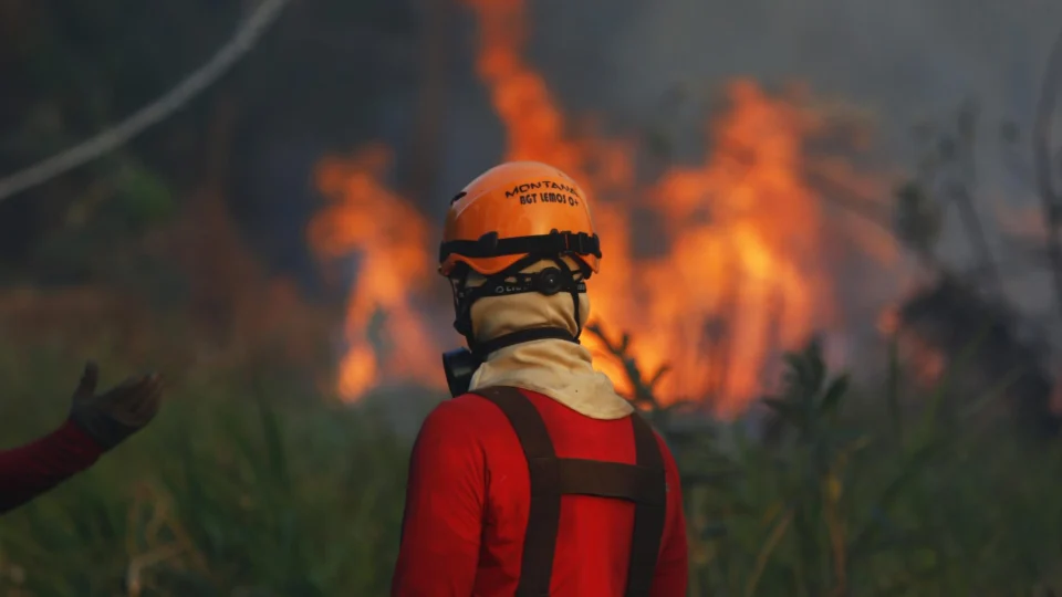Em 4 dias marcados por fumaça em cidades do AM, focos de calor são 611