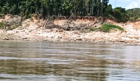 Seca no AM: 42 cidades estão em emergência e 273 mil pessoas são afetadas