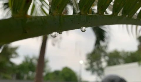 Previsão do tempo: confira o clima para esta segunda, 18, em Manaus