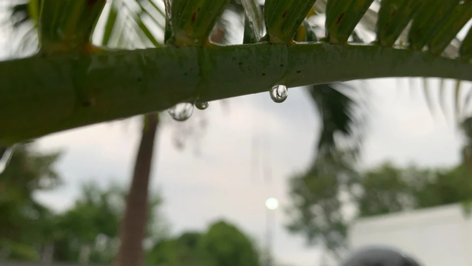 Manaus registra ocorrências de chuva no fim de semana