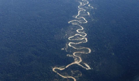 Grupo de Trabalho analisa emprego das Forças Armadas nas fronteiras da Amazônia