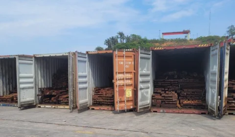 Madeiras apreendidas pela PF são doadas para programa de habitação em Manaus