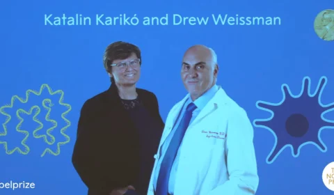 Nobel de Medicina premia responsáveis pela tecnologia da vacina da covid-19