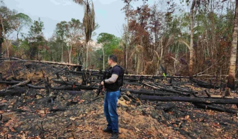 Suspeito é preso por incêndio criminoso em Nova Olinda do Norte-AM