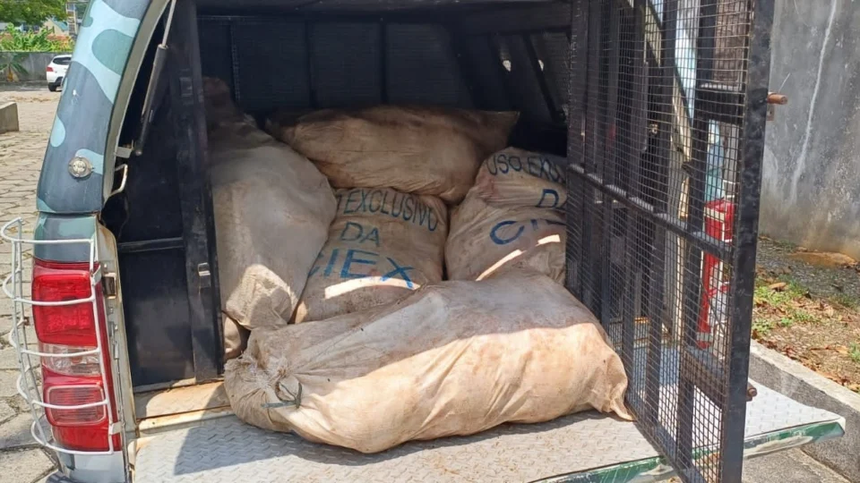 Homem é preso com 680kg de pirarucu ilegal no Porto de Manaus