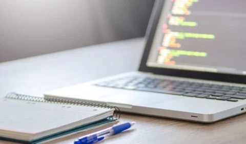 IBGE: 33 mil trabalham por meio de plataformas digitais em Manaus