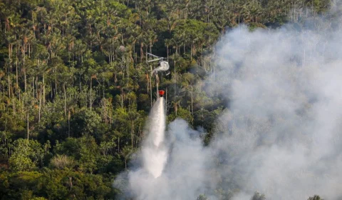 Queimadas no AM: Ipaam já aplicou R$ 17 milhões em multas, diz governo