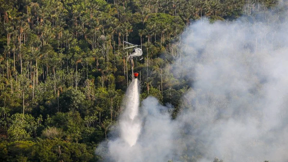 Queimadas no AM: Ipaam já aplicou R$ 17 milhões em multas, diz governo