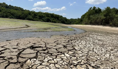 Seca no AM: águas do rio Negro sobem 54 cm em 5 dias, em Manaus