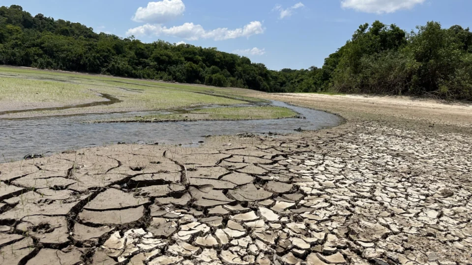 Seca no AM: águas do rio Negro sobem 54 cm em 5 dias, em Manaus
