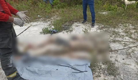 Corpo de homem é encontrado enterrado em cova rasa na Zona Norte de Manaus