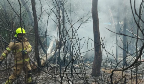 Municípios do AM decretam luto após morte de habitantes em acidente aéreo no AC 