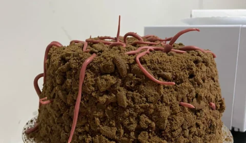 ‘Bolo de terra’ com biscoito e minhocas de leite ninho viraliza na web; veja