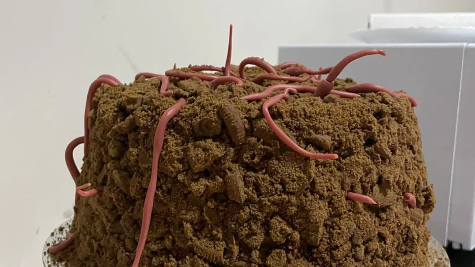 ‘Bolo de terra’ com biscoito e minhocas de leite ninho viraliza na web; veja