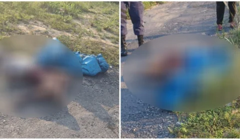 Corpos com sinais de tortura foram encontrados em mata na Av. das Torres