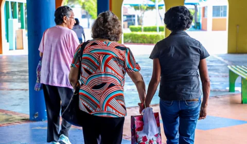 Idosos podem viajar de graça com documento especial; veja como