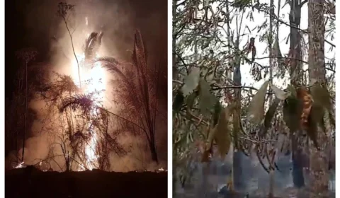 Ibama aponta Autazes e Careiro como causadores de incêndios e intensa fumaça em Manaus