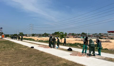 Plantio de 200 árvores é realizado em parque na Zona Norte de Manaus