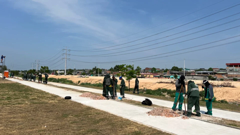 Plantio de 200 árvores é realizado em parque na Zona Norte de Manaus