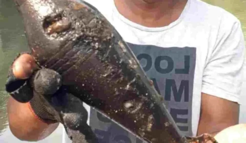 VÍDEO: homem pesca granada morteiro no fundo do rio Guaporé, no MT