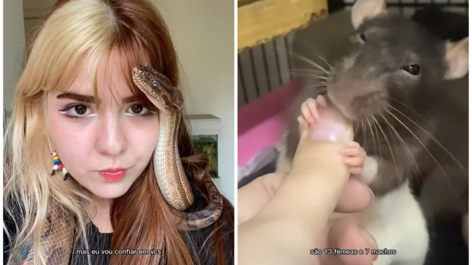 VÍDEO: jovem viraliza ao mostrar rotina com 60 pets ‘exóticos’ dentro de casa