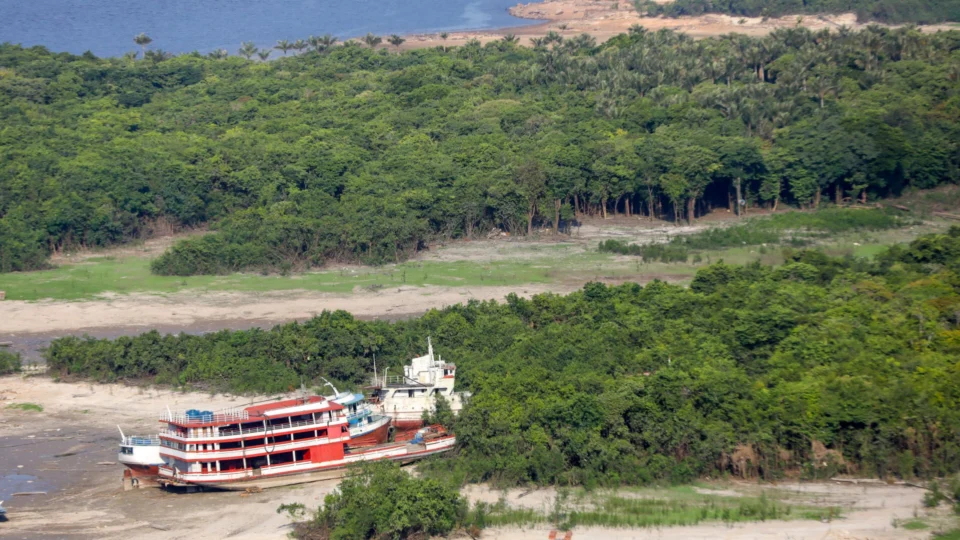 Amazonas propõe desmatamento líquido zero até 2030 para a COP-28