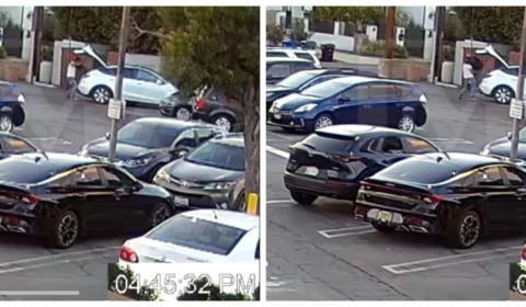 VÍDEO: filho de chefe de Hollywood joga suposto corpo da esposa em lixeira, nos EUA