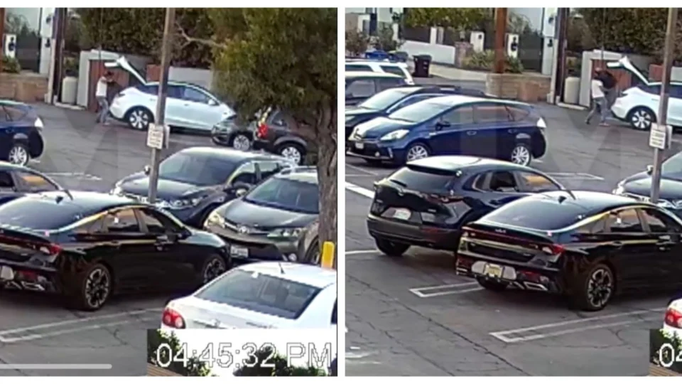 VÍDEO: filho de chefe de Hollywood joga suposto corpo da esposa em lixeira, nos EUA