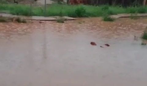 Chuva provoca ocorrências de tombamento e deslizamento na manhã de terça (7) em Manaus