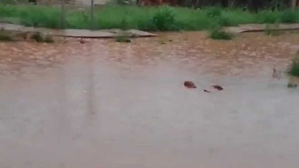 Chuva provoca ocorrências de tombamento e deslizamento na manhã de terça (7) em Manaus