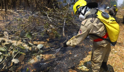 Comparado a 2022, outubro registra aumento de 156% de focos de calor no AM