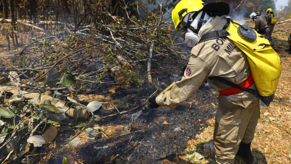 Comparado a 2022, outubro registra aumento de 156% de focos de calor no AM