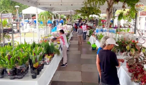 Feira de Flores de Holambra segue em Manaus até este domingo, 19