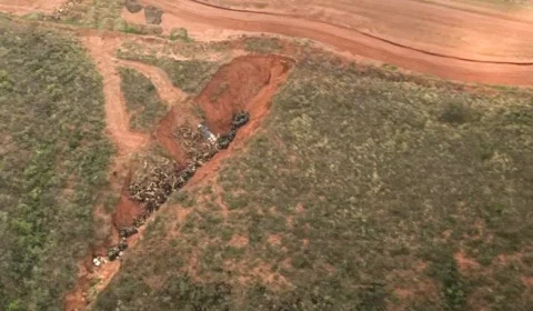 Governo exige rapidez para solucionar crime ambiental nas Serras Gerais em TO