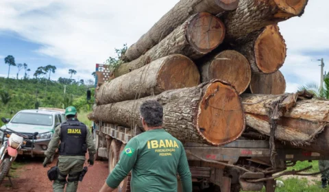 CPI das ONGs ouve presidente do IBAMA nesta terça-feira, 7