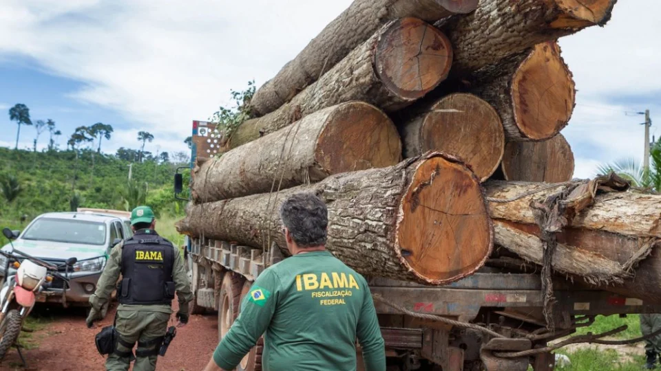 CPI das ONGs ouve presidente do IBAMA nesta terça-feira, 7
