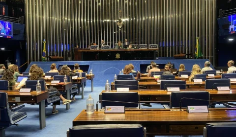 Senado discute desafios e propostas do Brasil para a COP 28